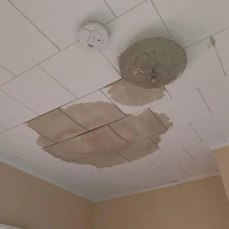 Ceiling Water Damage Repair in Hines, OR