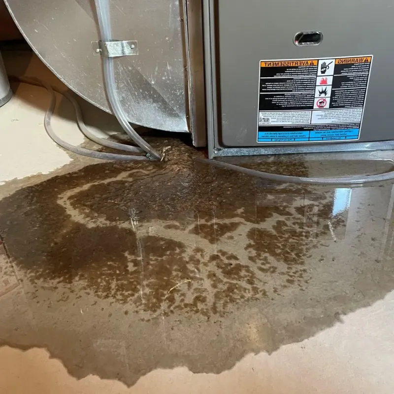 Pipe Burst and Leak Restoration in Hines, OR