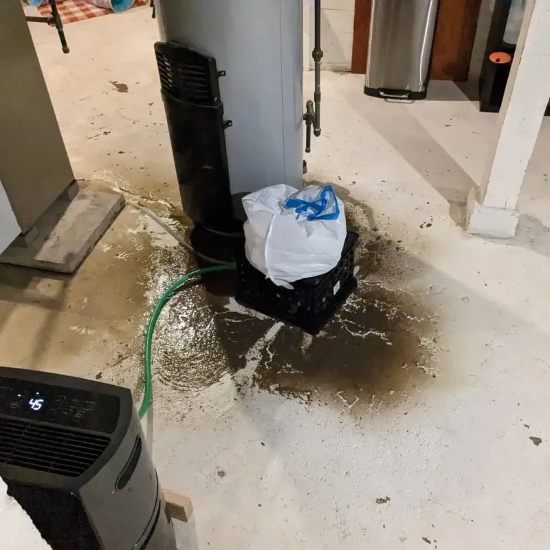 Sewage Backup Cleanup Service in Hines, OR